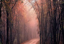 PG模拟器官网：阿根廷记者：梅西与迈阿密国际谈判进展顺利.