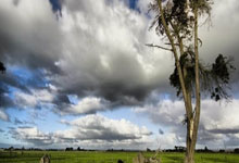 PG模拟器官网：[天下足球]新篇章 斯洛特出任利物浦主帅.