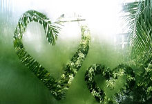 PG模拟器官网：我国射击手东南亚锦标赛射下三金一银三铜.