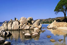 火箭四喜临门，横扫太阳尽显强队气质，杜兰特受伤也成全休城？.